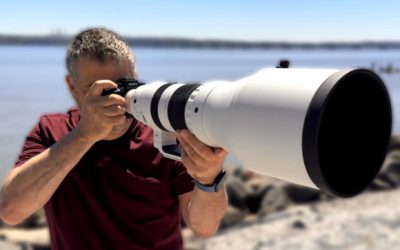 Sigma 300-600mm F/4 DG OS | Sports Hands-on Review – a Groundbreaking Lens, With Limitations